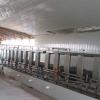 Anderson Dairy, Ashland, WI - Two 8-stall modules - First half of a Double 16 parlor.